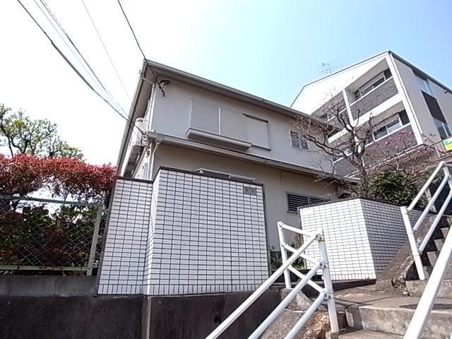 フラッツたまみ