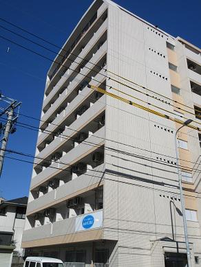 昭代NEXT