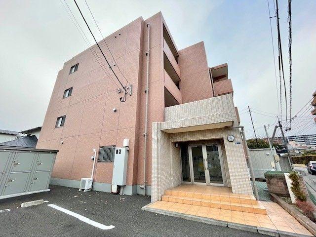 カモミール