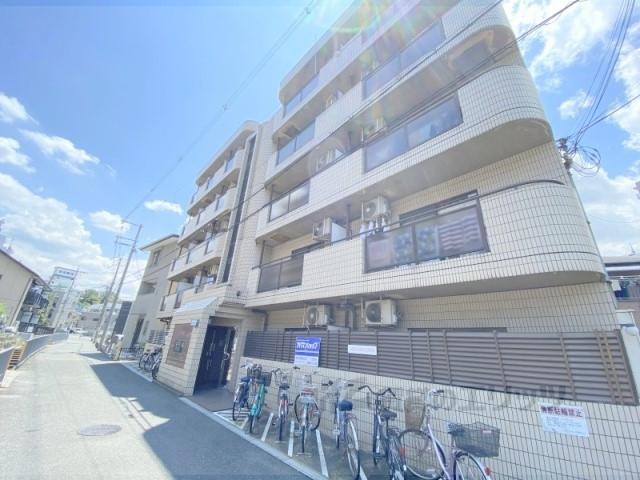 ダモールFUKUI