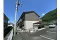 アンジェリーナA