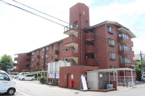 ドミール高野