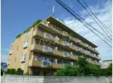 PLENDY馬橋