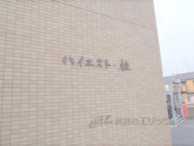 ハイエスト桂