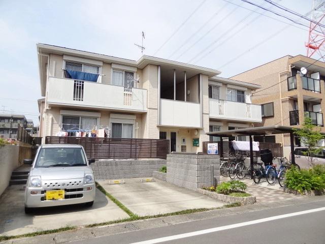 コート・山法師