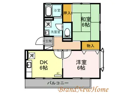 ハイカムール梅寿(2DK/3階)の間取り写真