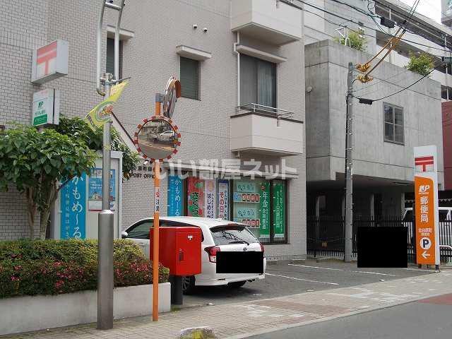 シルバーフォレスト