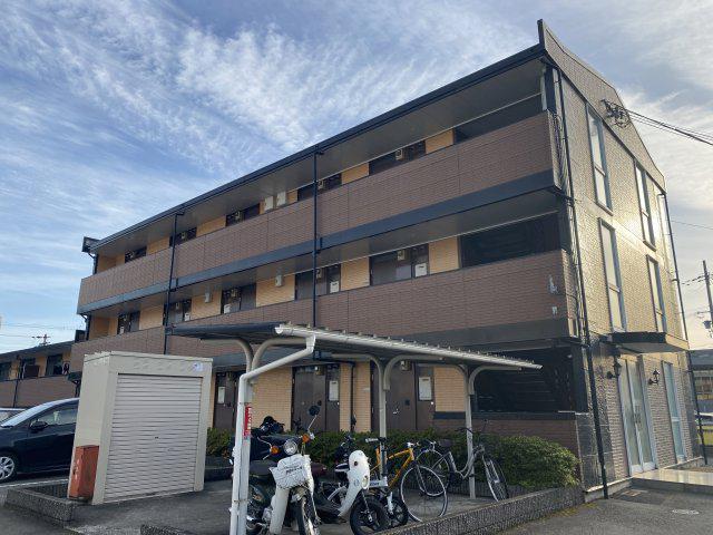 アムールMI中地
