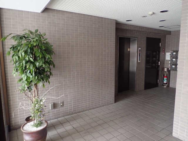 アムール御器所