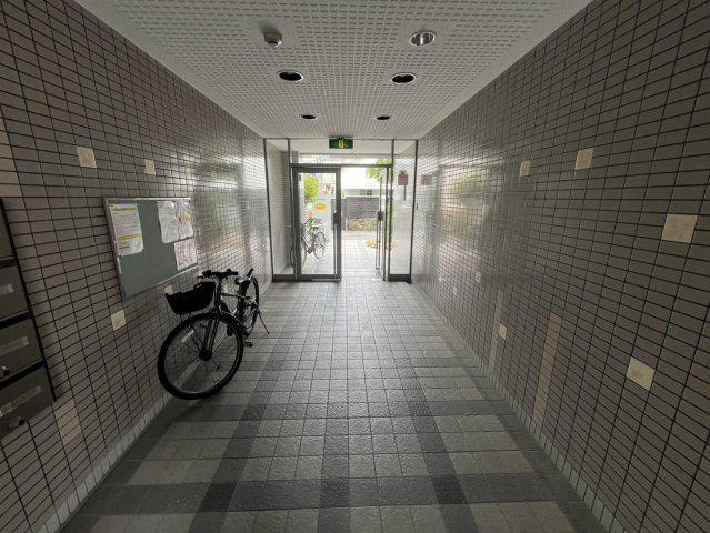 シロハイヌ小阪