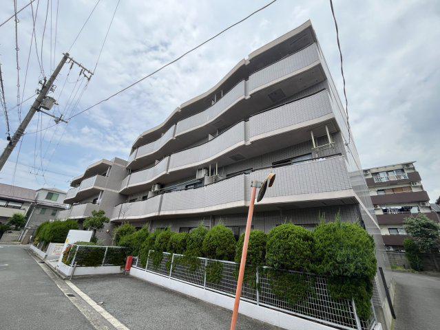 シロハイヌ小阪