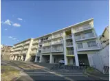 ルノアス富雄