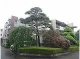 第3ゼルコバマンション