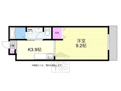 グレイスコート(1K/1階)の間取り写真