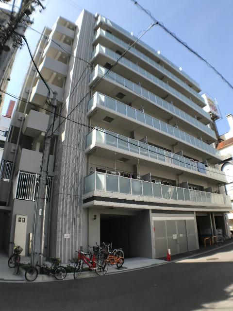 クリプトメリア日本橋
