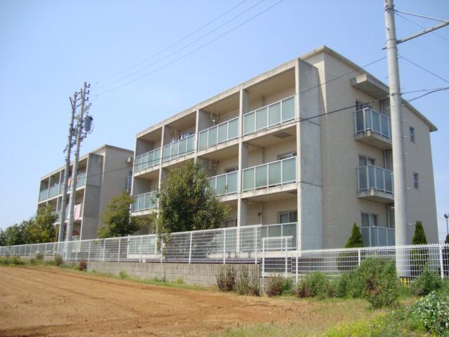 HILLS-T S