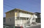 エバーグリーン