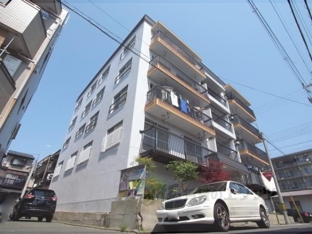 グレーシー高野
