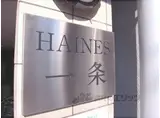 HAINES一条