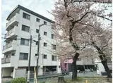 グリーンヒル