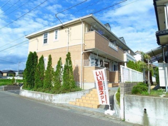 マグノリア