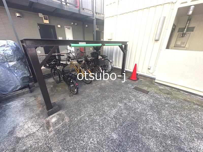 ゴールドクレスト