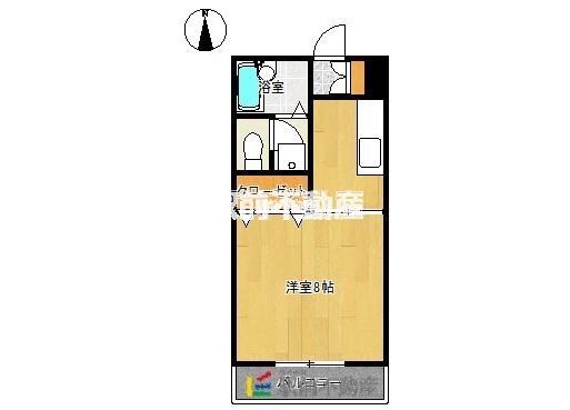 セジュール国分II(1K/1階)の間取り写真