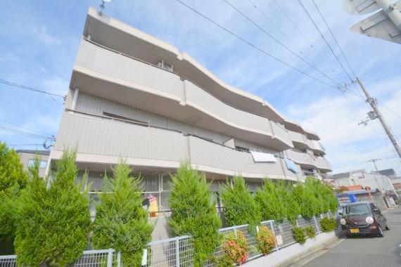 シロハイヌ小阪