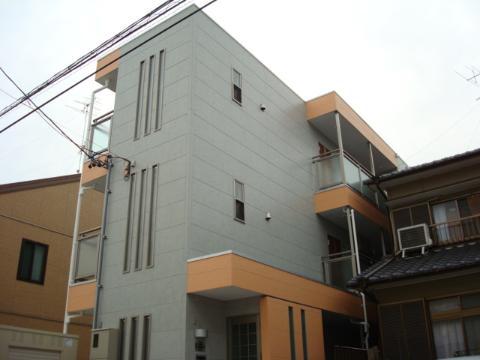 アムール青柳