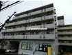 ジュネスタチバナ(1K/5階)