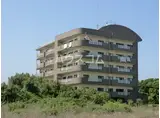 ライフ第5マンション大平台