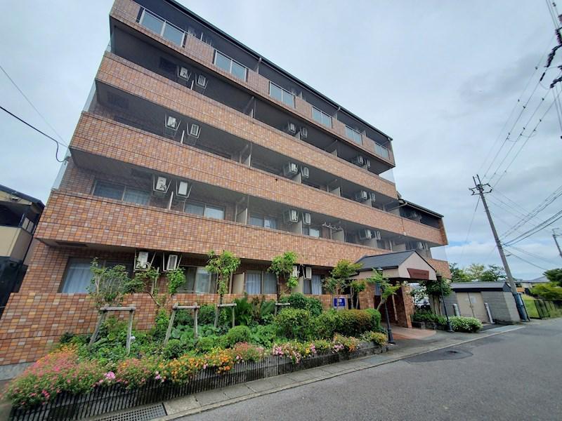 セコンダリー谷畑