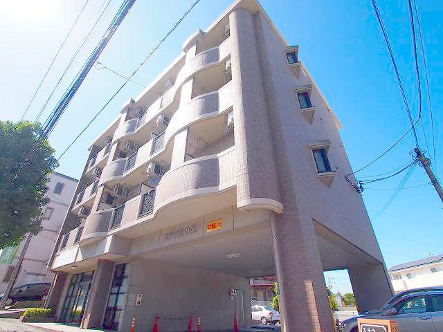 ステラ上の原