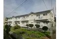 ブルーフェアリー