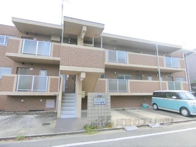 エルベくずは並木