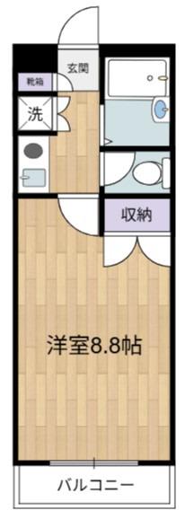 ステラ伸光