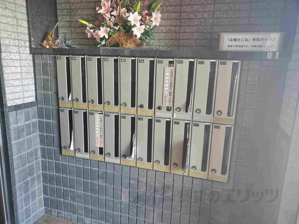 エバーグリーン植政