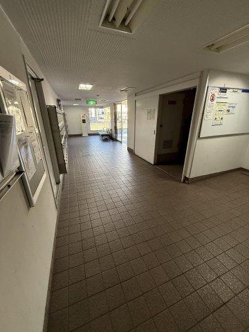 コボリクラスタ花屋敷