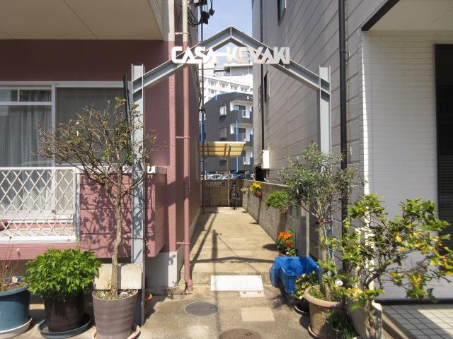 カーサケヤキ