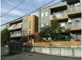 ヴィ・フォンテ