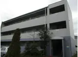 ヴェルドミールステラ