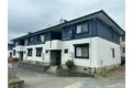 ハイカムールメイプル