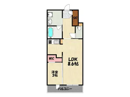 アルファシオベイス博多(1LDK/7階)の間取り写真