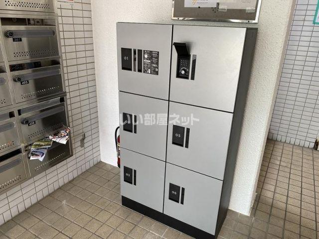 デュエル雅