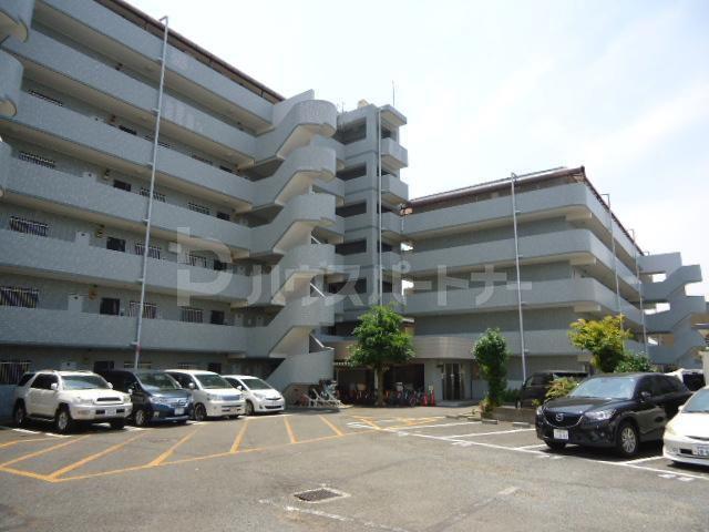 アフィニス原木