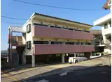 プリムローズ