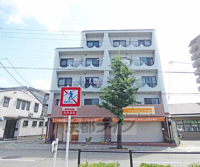 レイ紫野