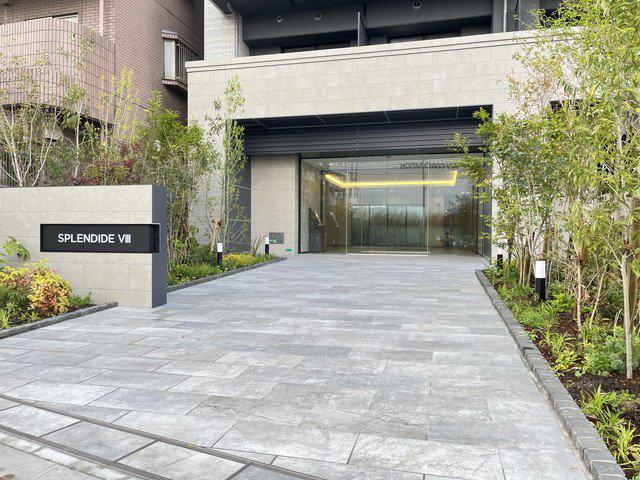 スプランディッドVIII