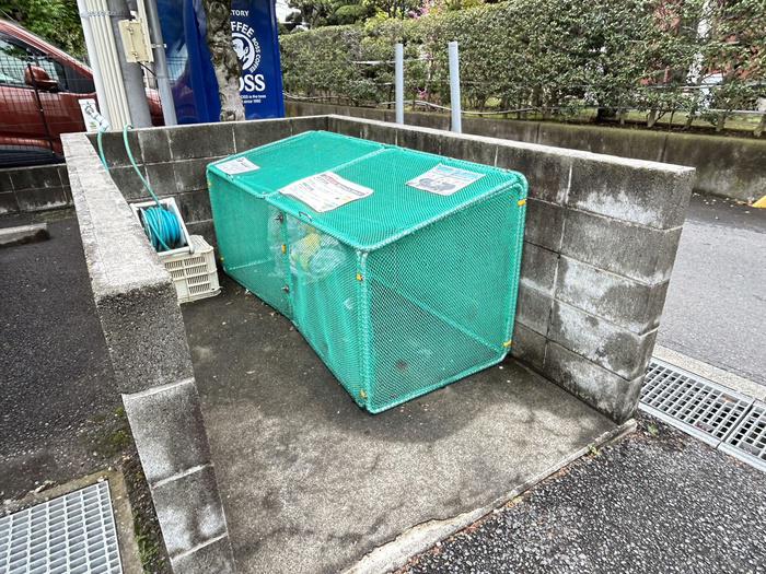 サザンクロス