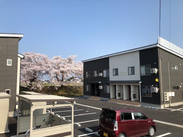 エストディオA